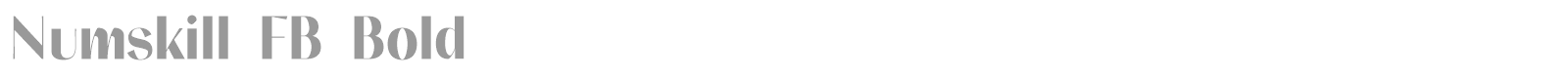 Numskill FB Bold font preview